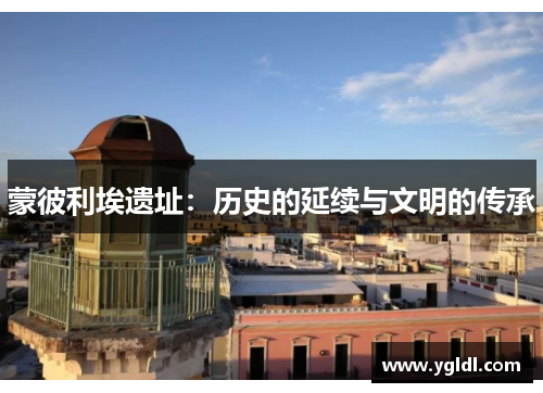 蒙彼利埃遗址：历史的延续与文明的传承