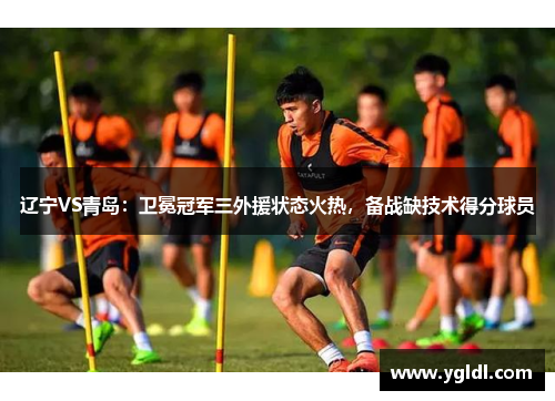 辽宁VS青岛：卫冕冠军三外援状态火热，备战缺技术得分球员